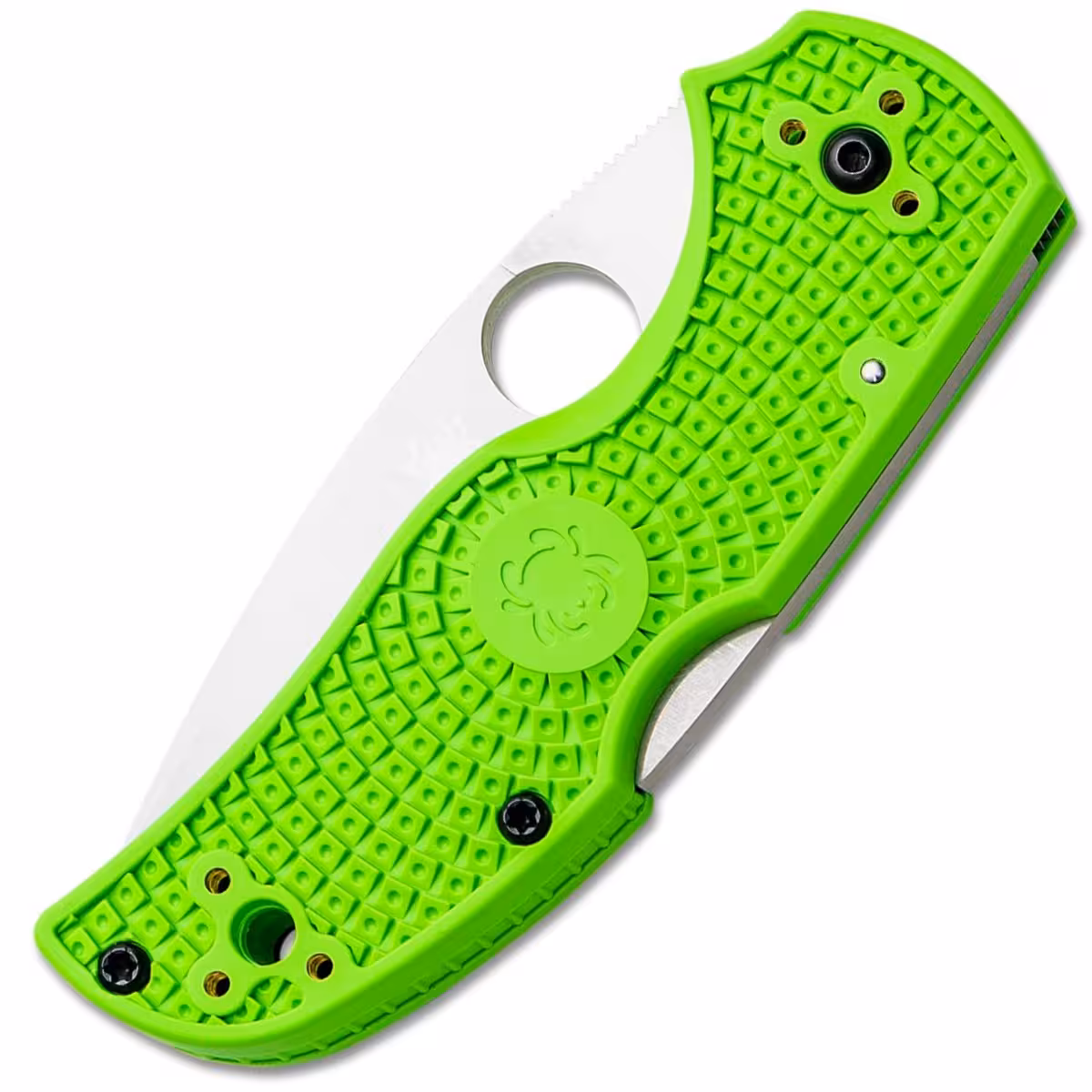Spyderco-Native-5-Salt-Green-C41SGR5