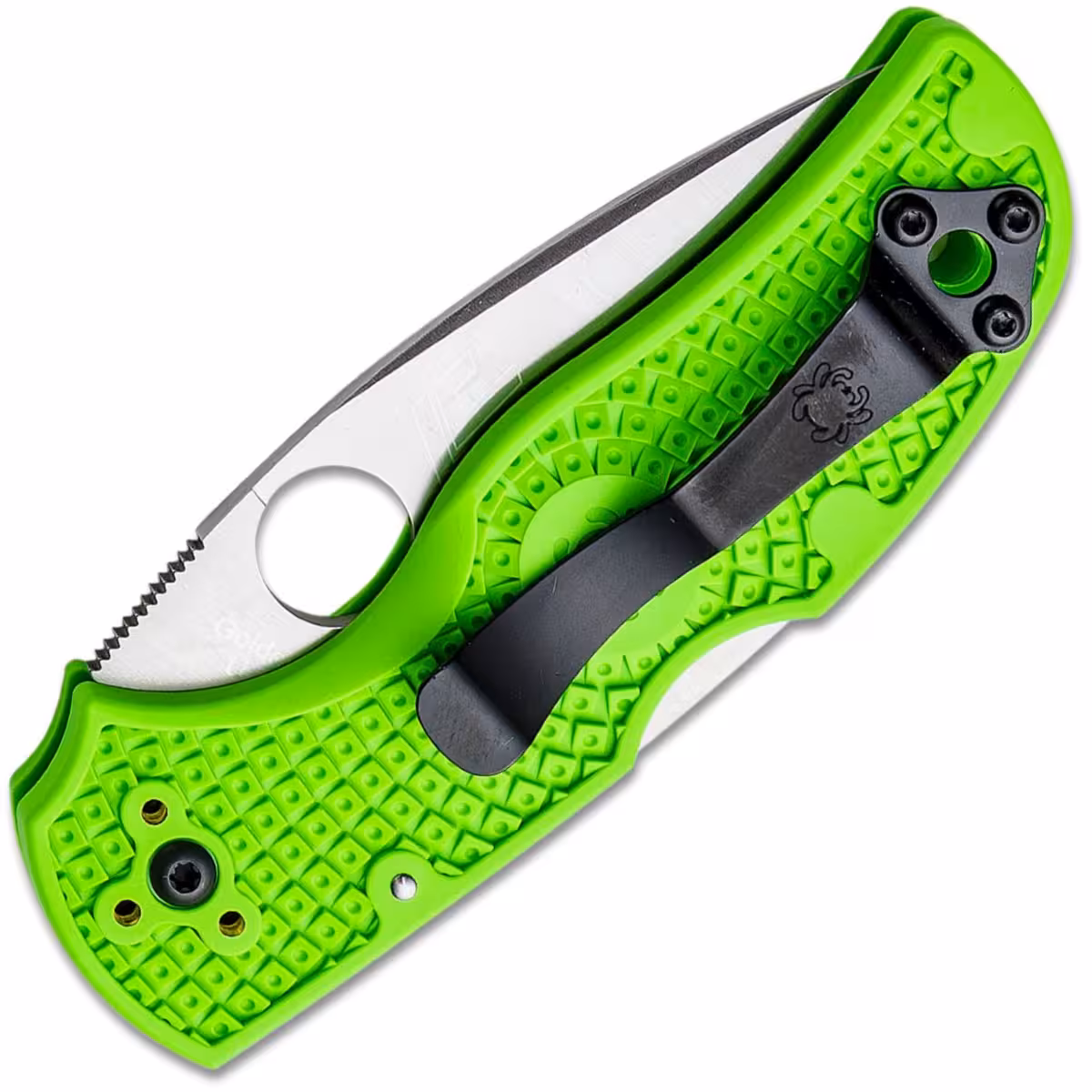 Spyderco-Native-5-Salt-Green-C41SGR5