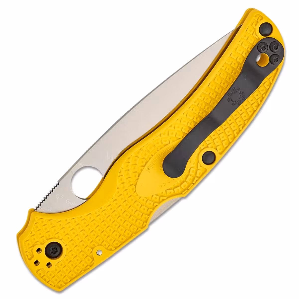 Spyderco-Native-Chief-Salt-C244PYL