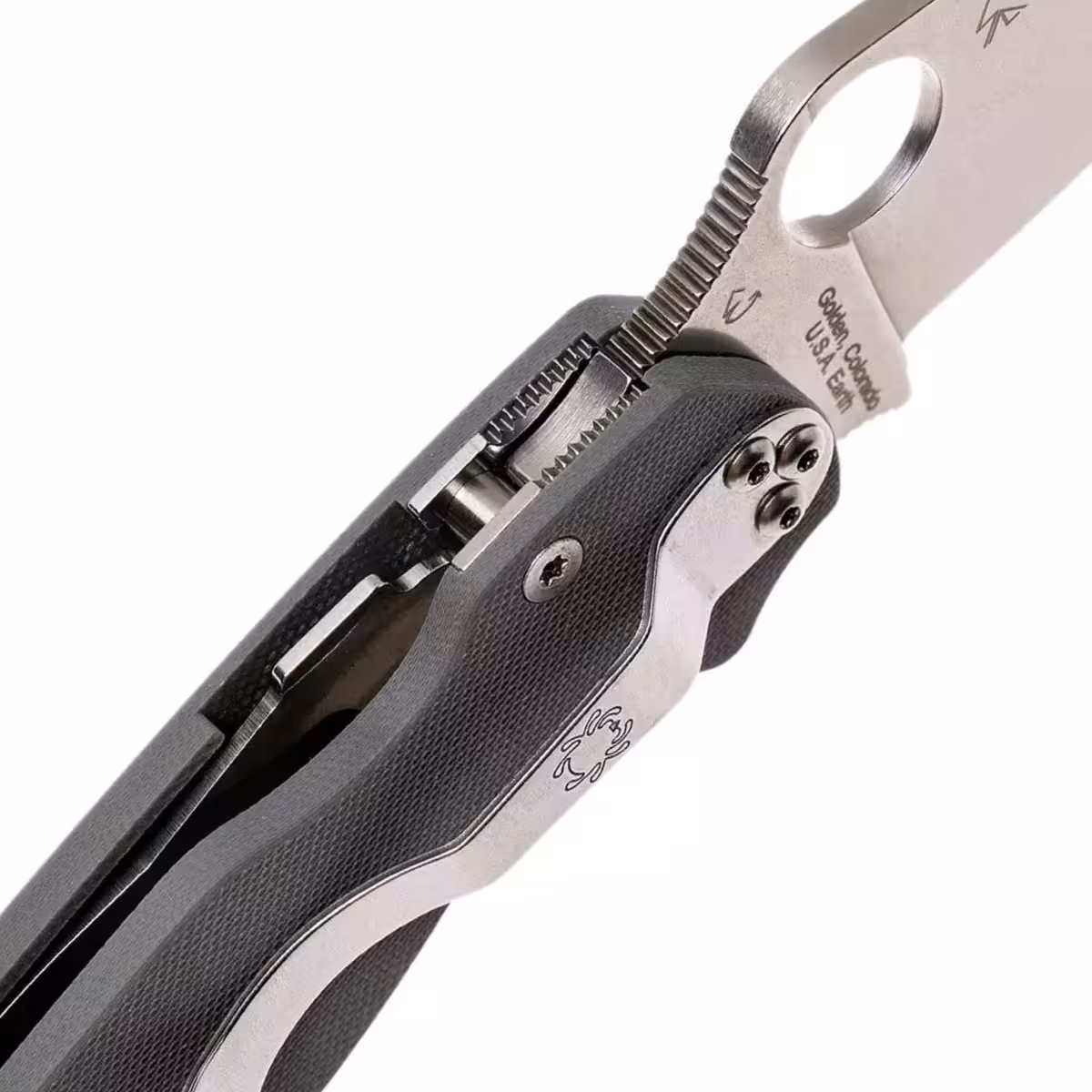 SPC81GPDGY2_spyderco-spc81gpdgy2