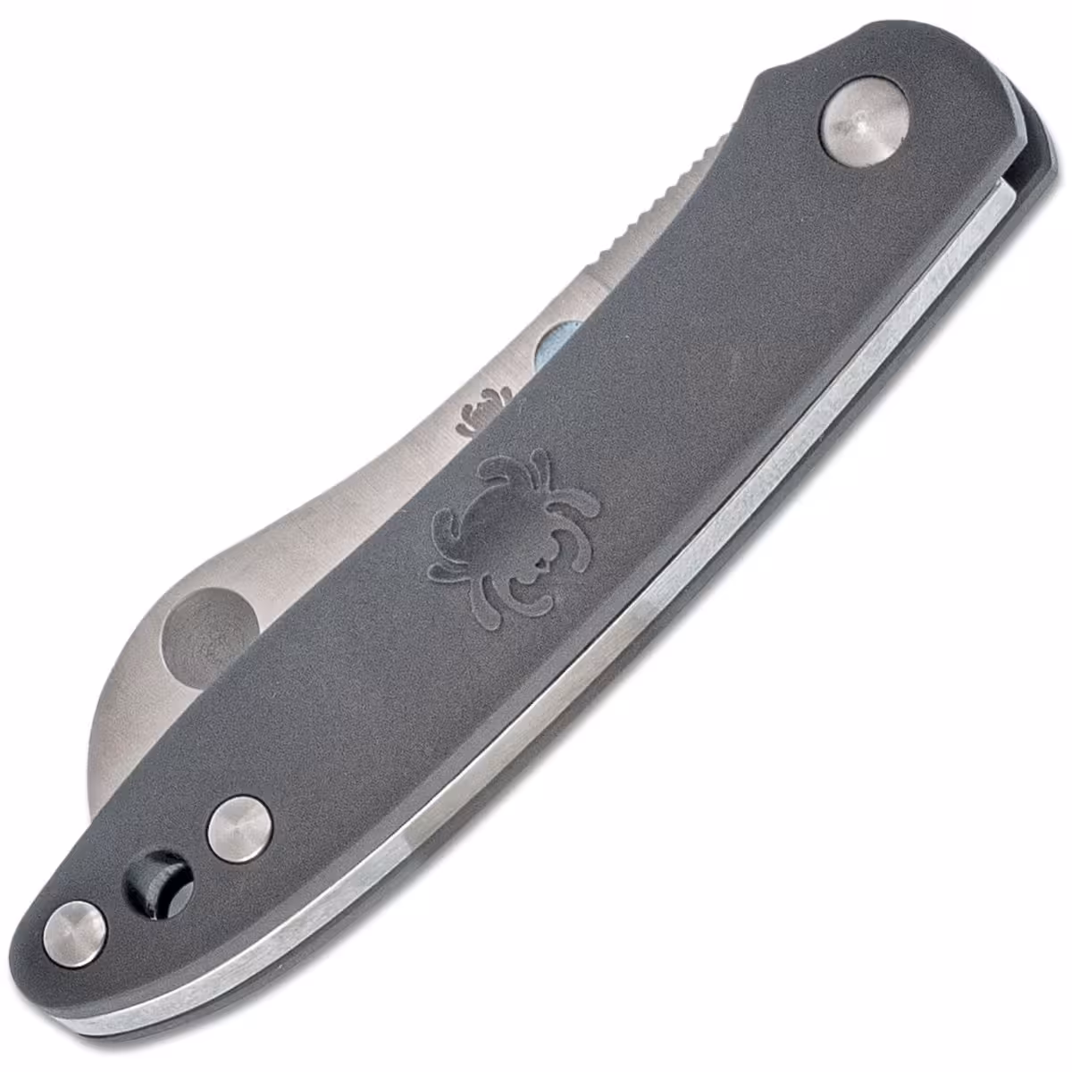 Spyderco-Roadie-C189PGY