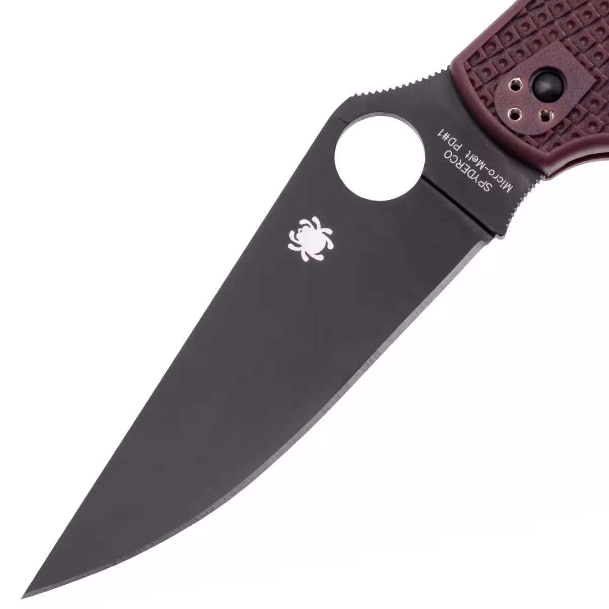 SPC258BGBKP_01_spyderco