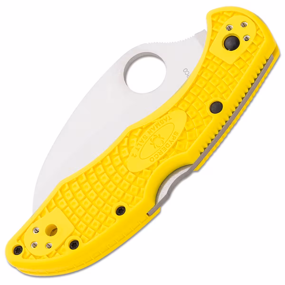 Spyderco-Tasman-Salt-2-C106SYL2