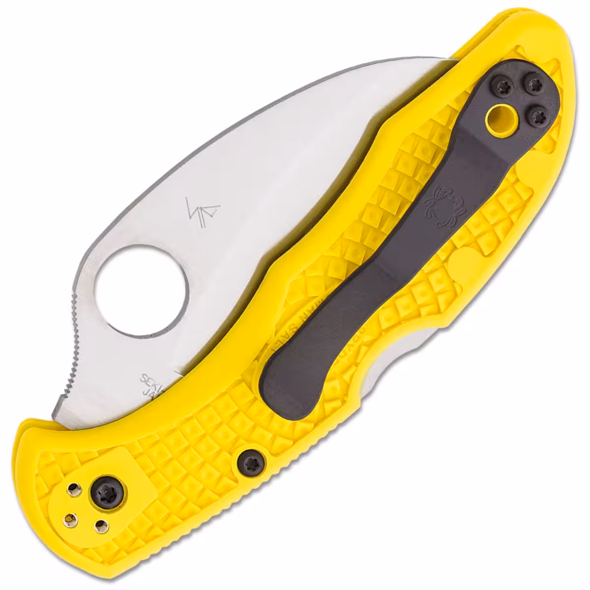 Spyderco-Tasman-Salt-2-C106SYL2