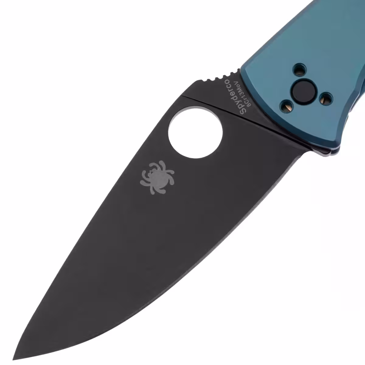 Spyderco-Tenacious-Black-C122TIBLBKP