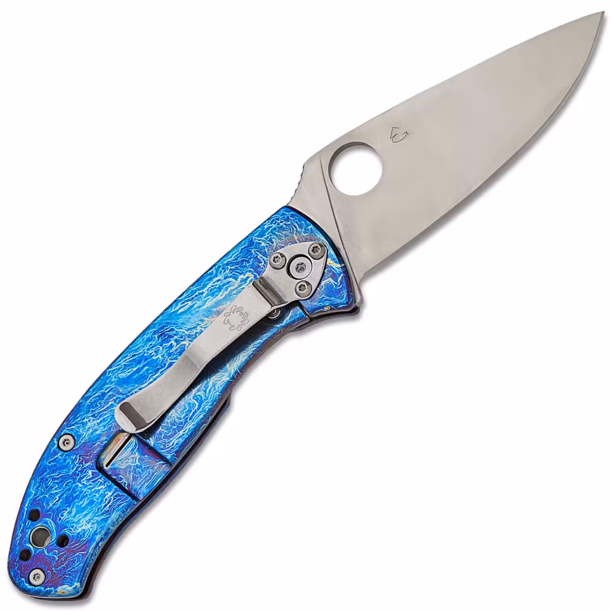 Spyderco-Tenacious-C122TIBLD2P